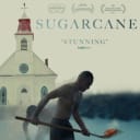 Sugarcane