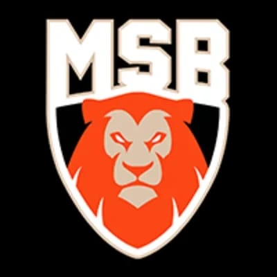 Le Mans Sarthe Basket