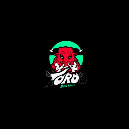 Toros Del Valle