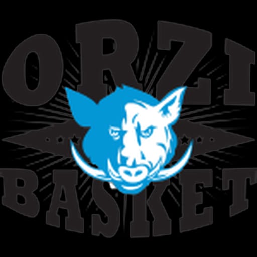 Orzibasket