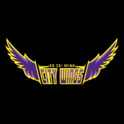 Ho Chi Minh City Wings