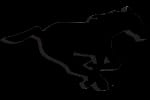 Calgary Stampeders