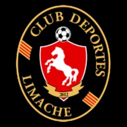 Deportes Limache