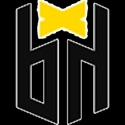 Bounty Hunters Esports