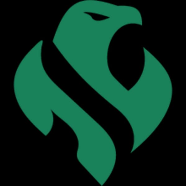 Riyadh Falcons