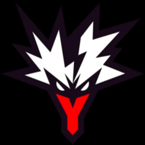 Team Yandex
