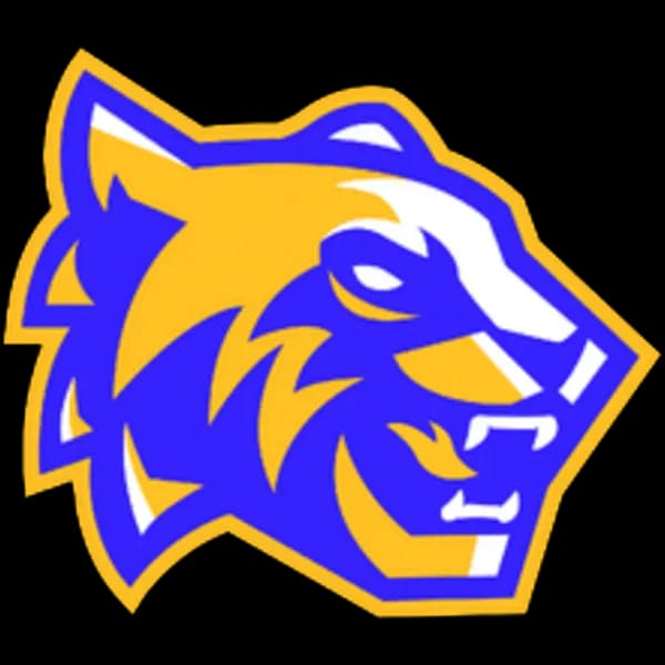 SDM Tigres