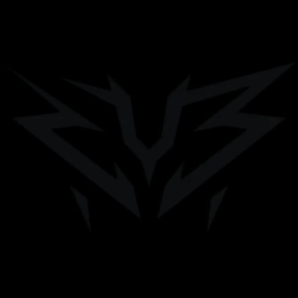 ZYB Esport