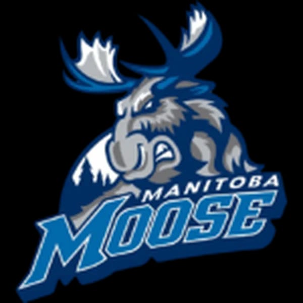 Manitoba Moose