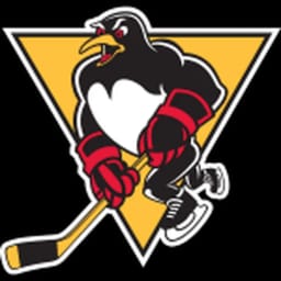 Wilkes Barre-Scranton Penguins