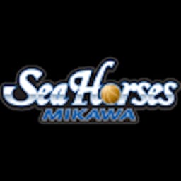 Seahorses Mikawa