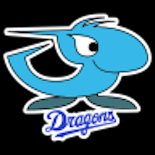 Chunichi Dragons