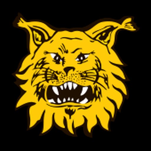 Ilves