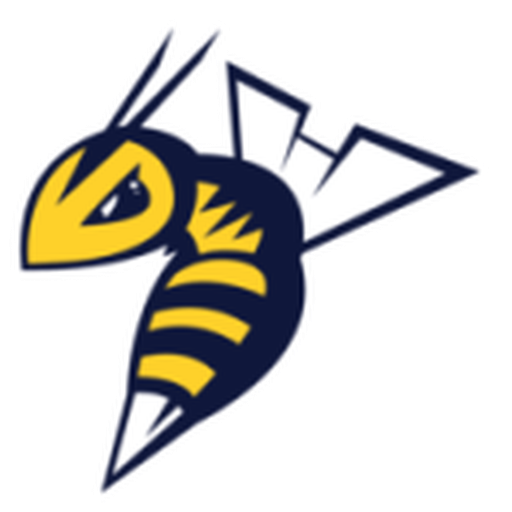 Edmonton Stingers
