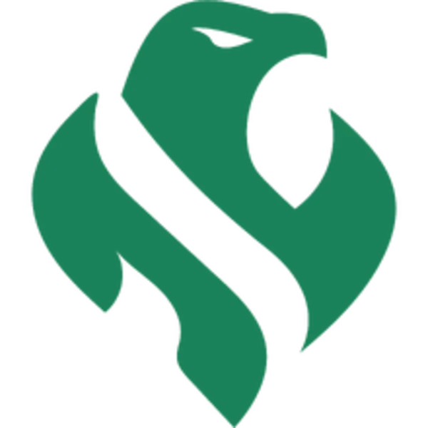 Riyadh Falcons