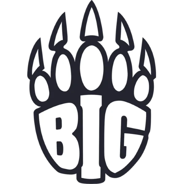 BIG Academy