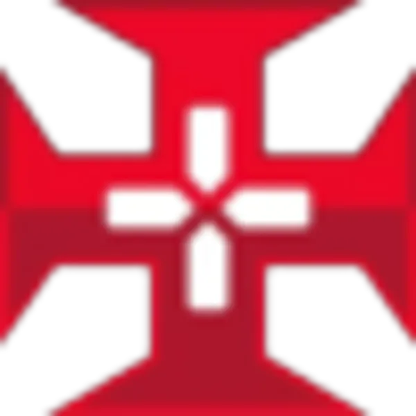Vasco Esports
