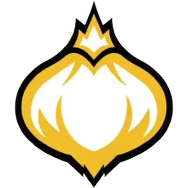 Onion Team
