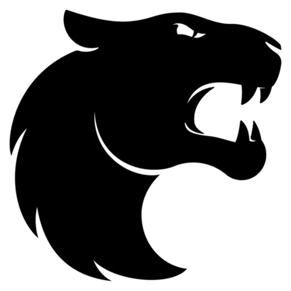 FURIA Esports
