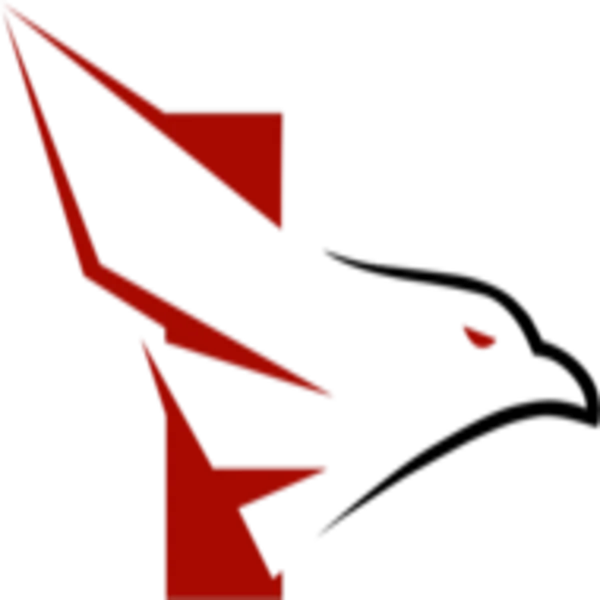 FALKE ESPORTS