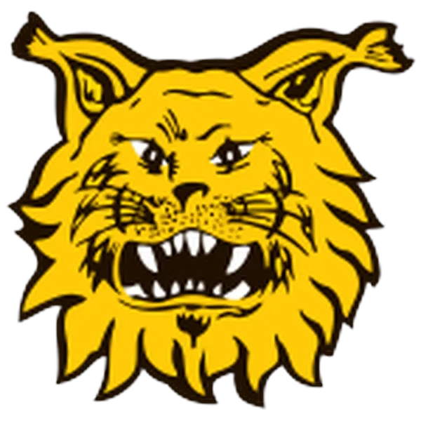 Tampereen Ilves Odds image