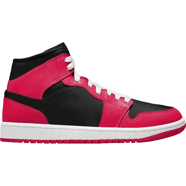 Raptors
