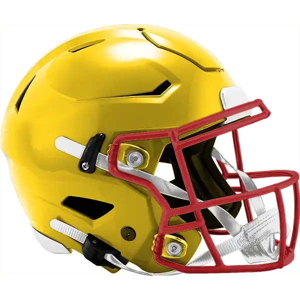 VMI