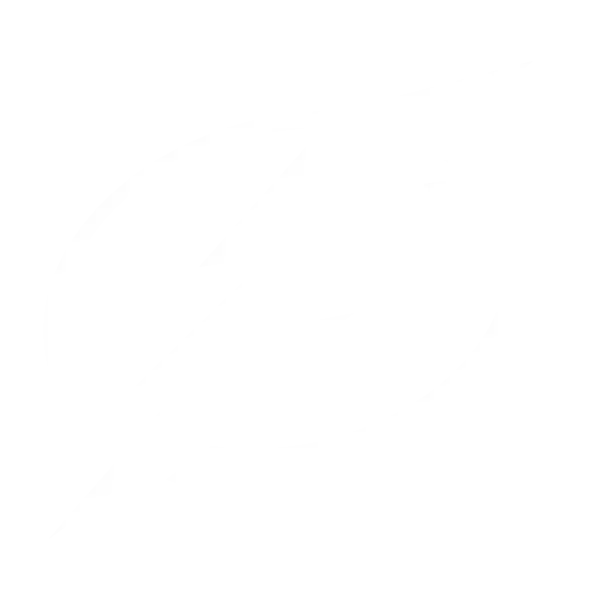 Nikita Kucherov