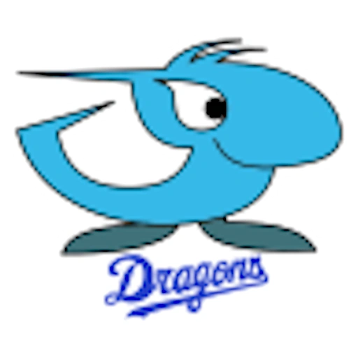 Chunichi Dragons
