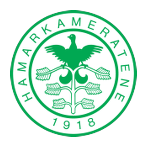 HamKam Odds 2026: League, Match & Futures image