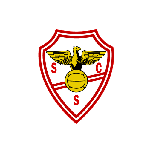 Salgueiros advances