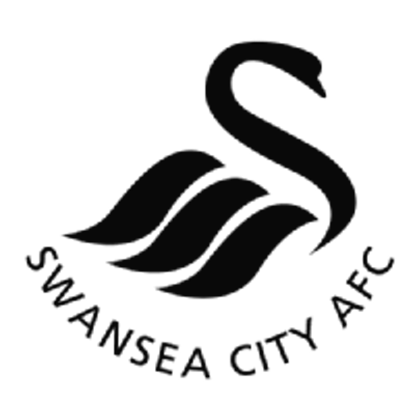 Swansea City